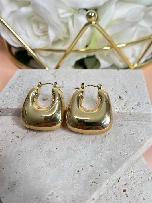 Allanis Hoop earrings