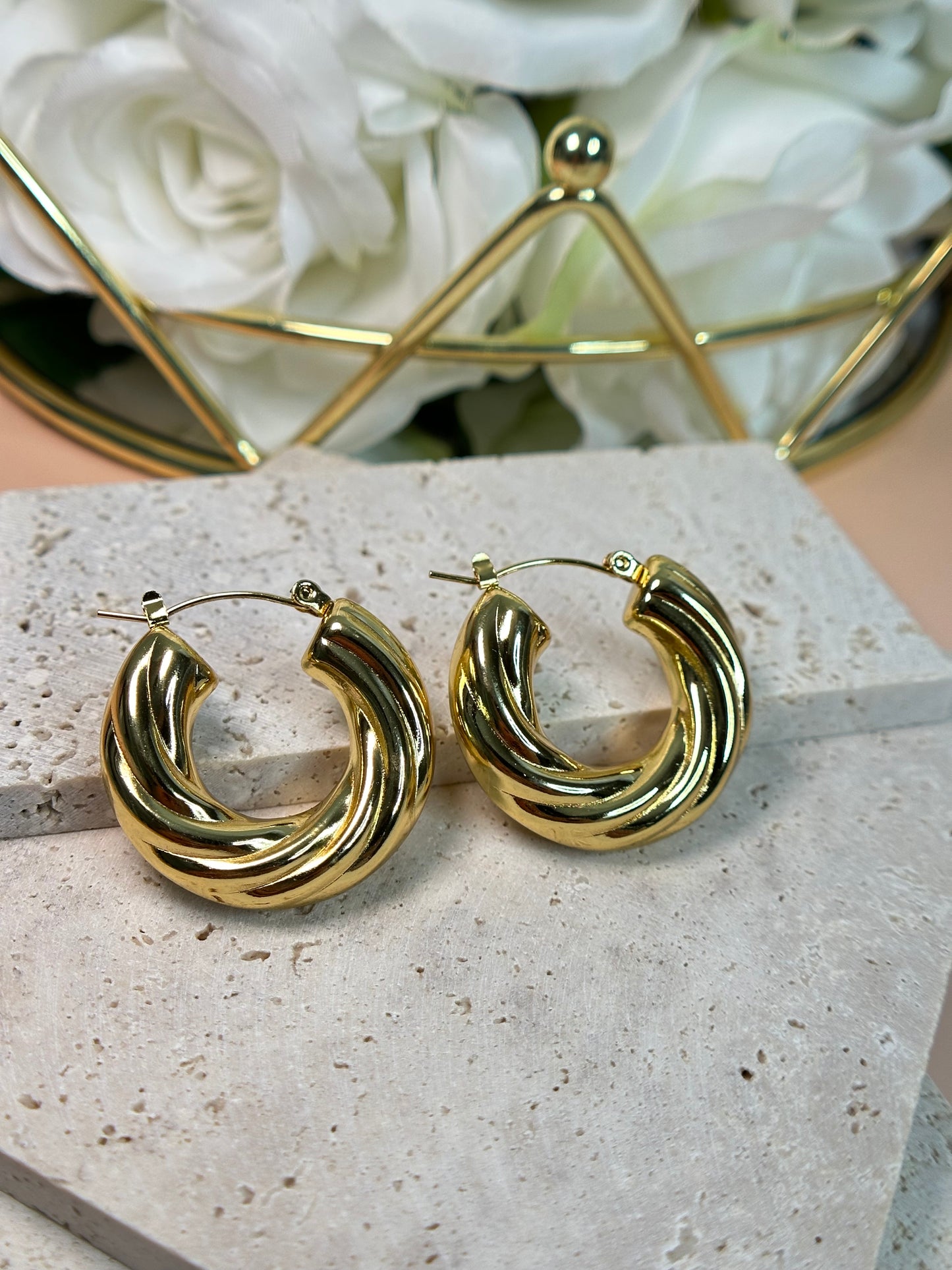 Gabby Hoop earrings